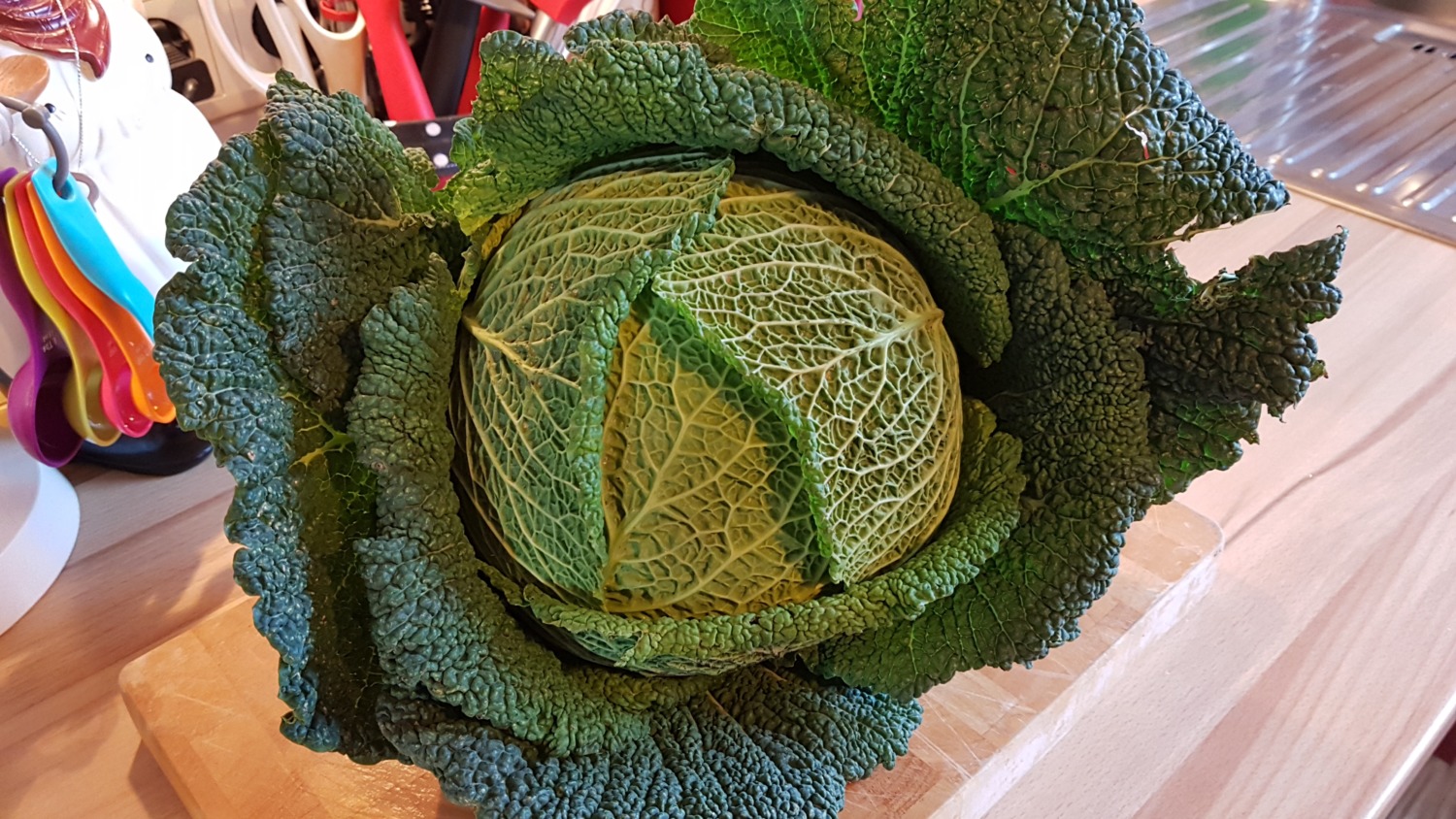 Bayrischer Wirsing - Die Vernissage, Teil 2 | Bines Thermi-Welt